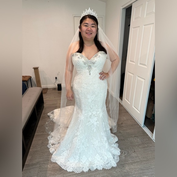 NWT David’s Bridal Scalloped Sparkle Cathedral Veil In Ivory - Picture 10 of 10